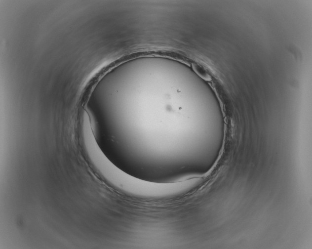 X0000113881165200910151307