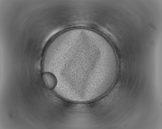 X0000113881166200910151307