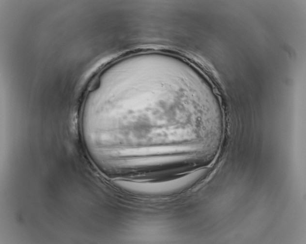 X0000113881167200910151307