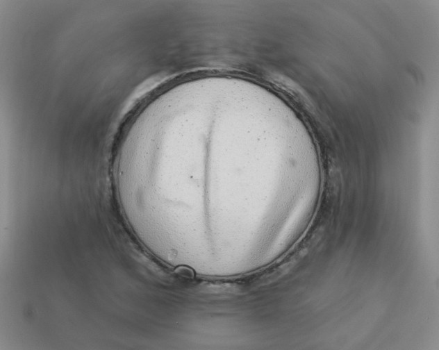 X0000113881168200910151307