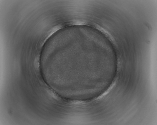 X0000113881170200910151306