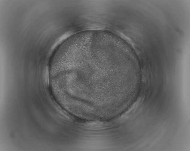 X0000113881171200910151306