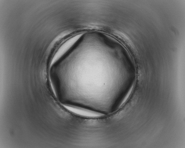 X0000113881172200910151306