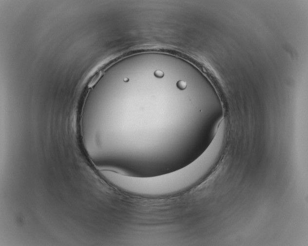 X0000113881173200910151306