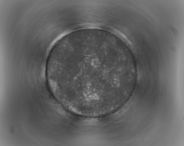 X0000113881174200910151306