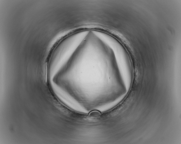 X0000113881175200910151306