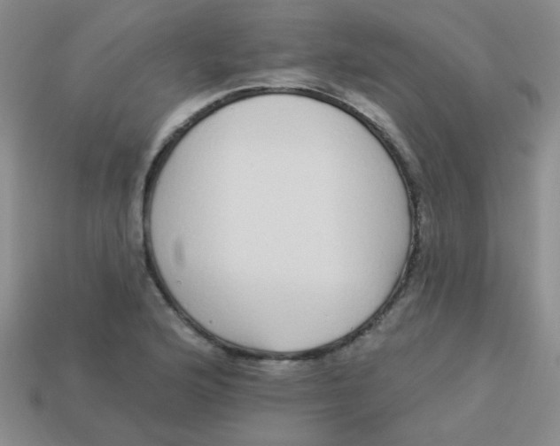 X0000113881176200910151306