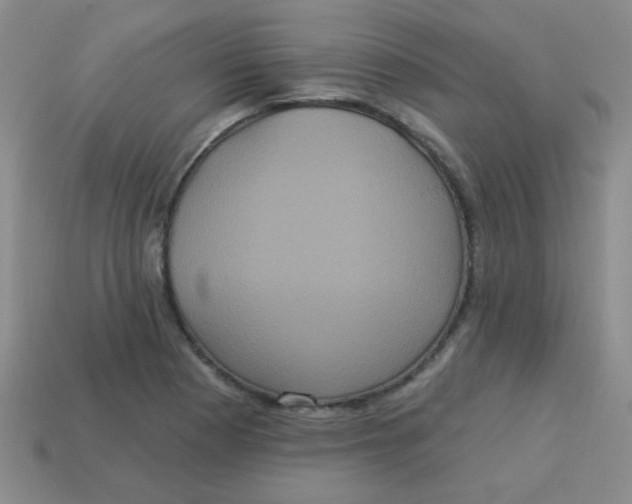 X0000113881177200910151306