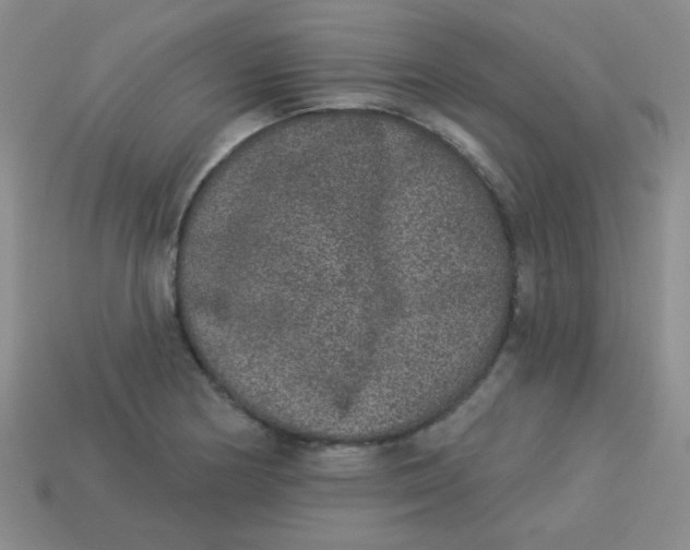 X0000113881178200910151306