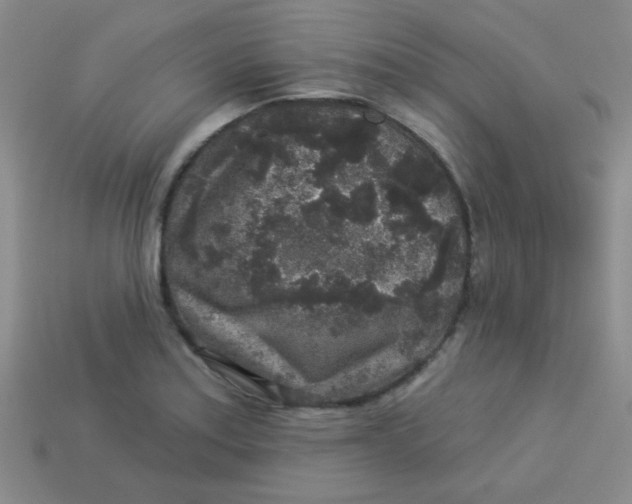 X0000113881179200910151306