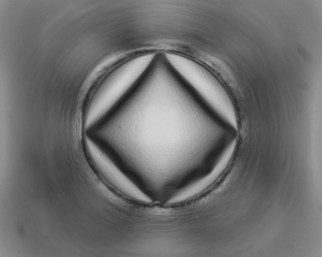 X0000113881180200910151306