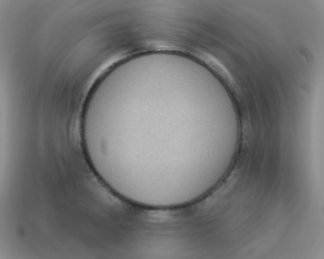 X0000113881182200910151306