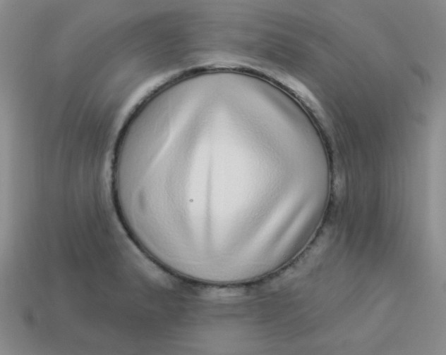 X0000113881183200910151306