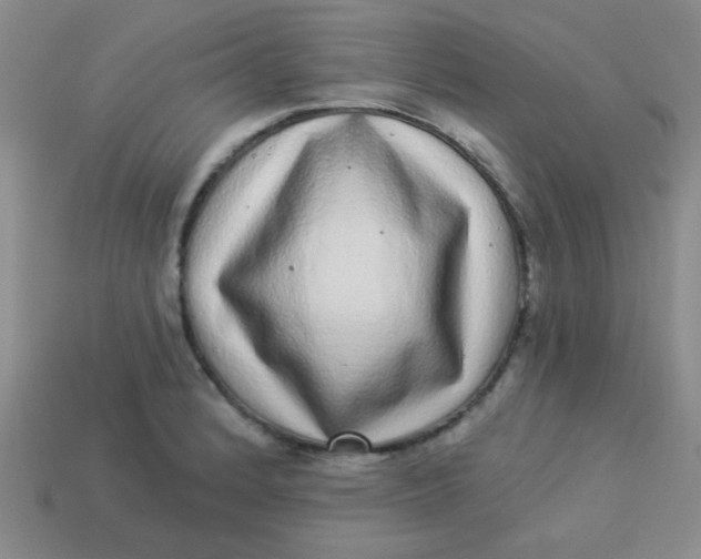 X0000113881184200910151306