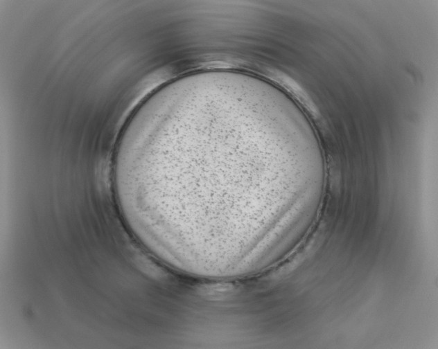 X0000113881186200910151306