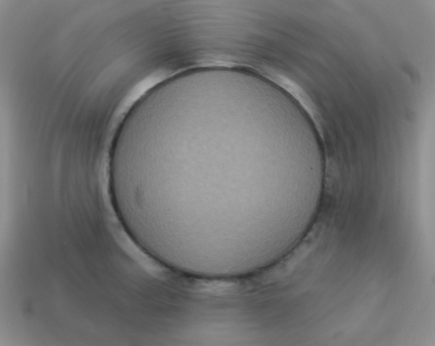 X0000113881187200910151306