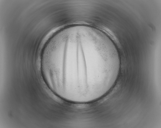 X0000113881188200910151306