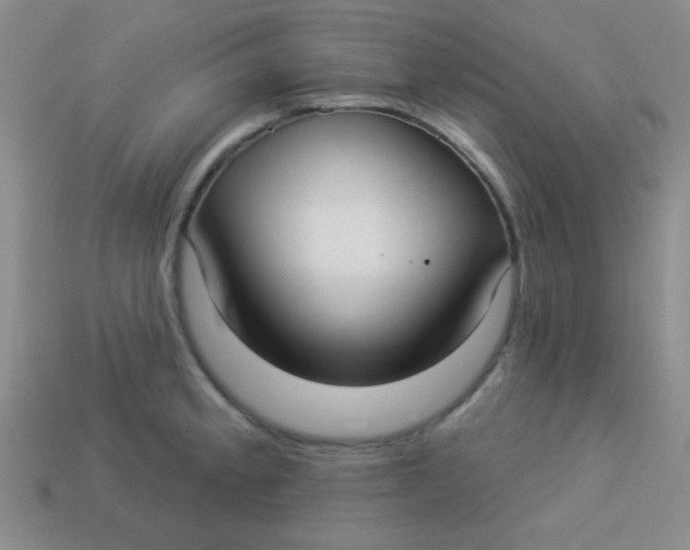 X0000113881189200910151306