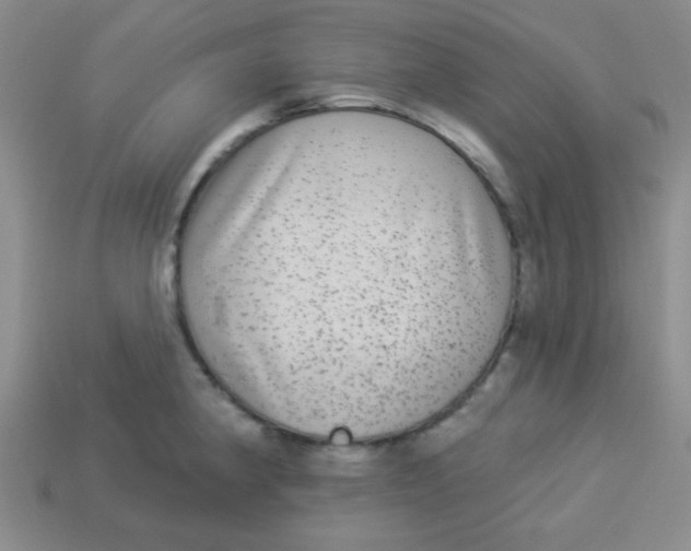 X0000113881190200910151306