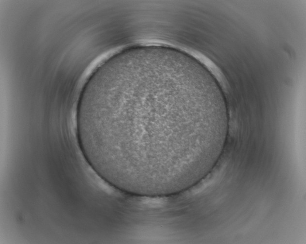 X0000113881191200910151306