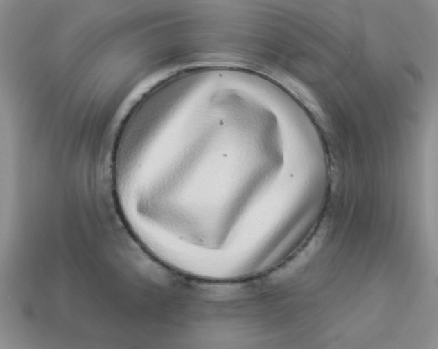 X0000113881192200910151306