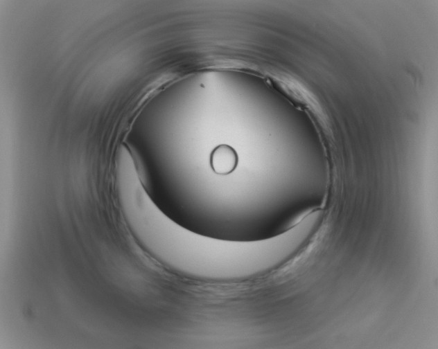 X0000113881193200910151306