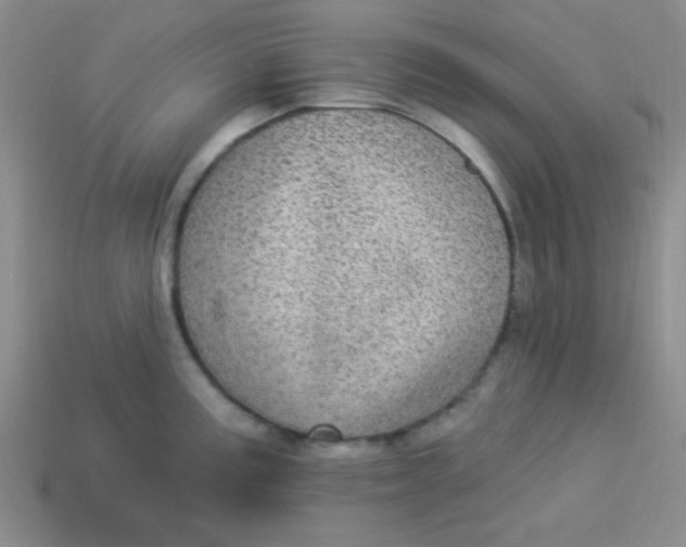 X0000113881195200910151306