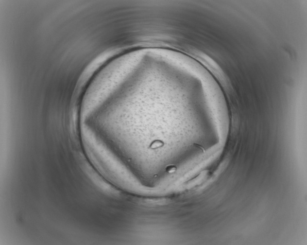 X0000113881196200910151306