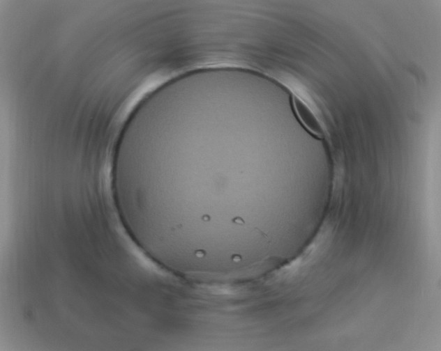 X0000113881197200910151306