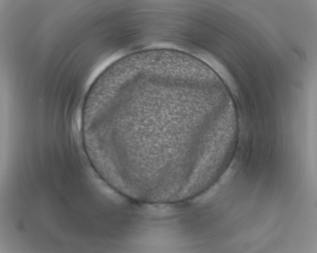 X0000113881198200910151306