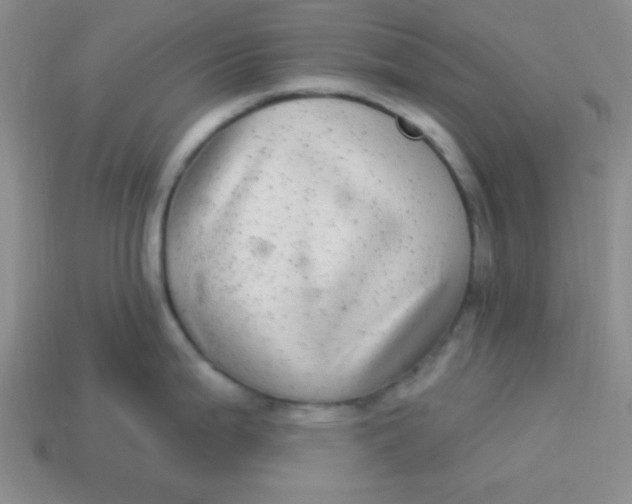 X0000113881199200910151306