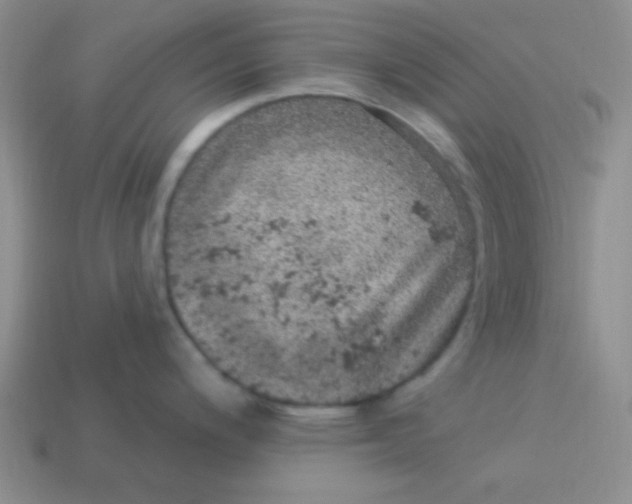 X0000113881200200910151306