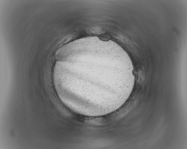 X0000113881201200910151305