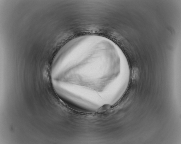 X0000113881202200910151305