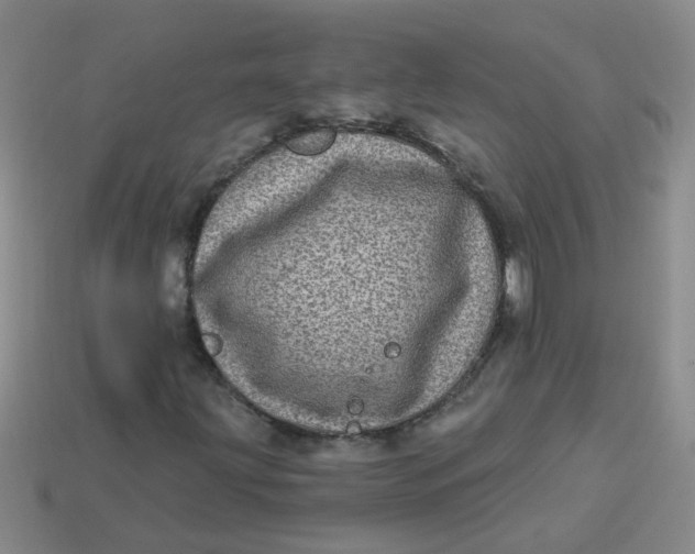 X0000113881203200910151305