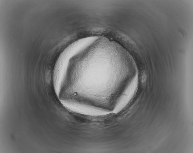 X0000113881204200910151305