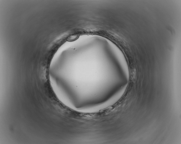 X0000113881205200910151305