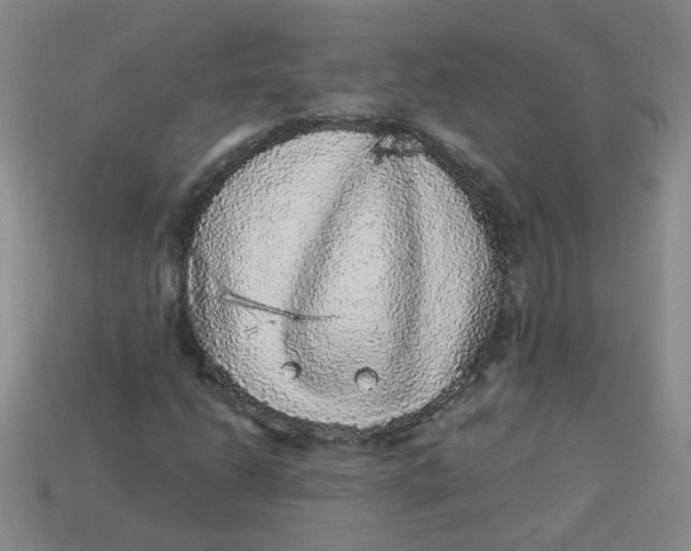 X0000113881206200910151305