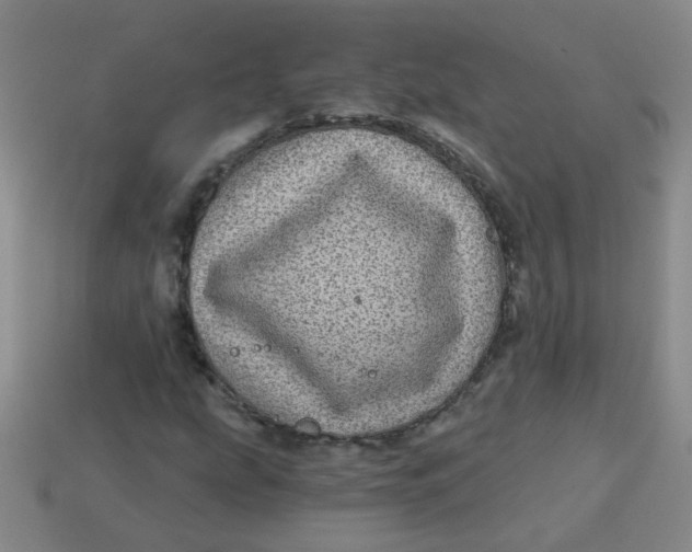 X0000113881207200910151305