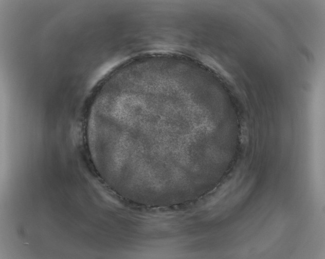 X0000113881208200910151305