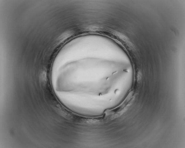 X0000113881209200910151305