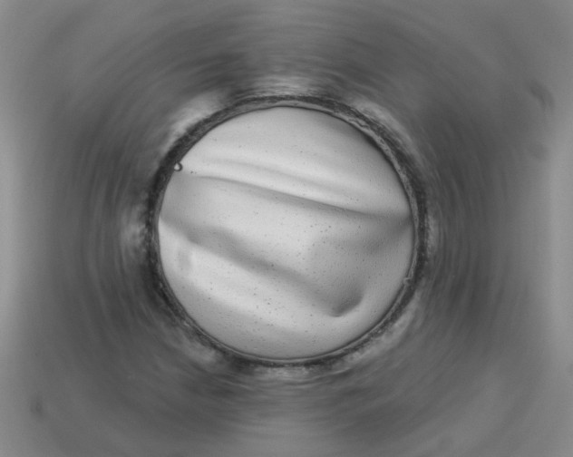 X0000113881210200910151305