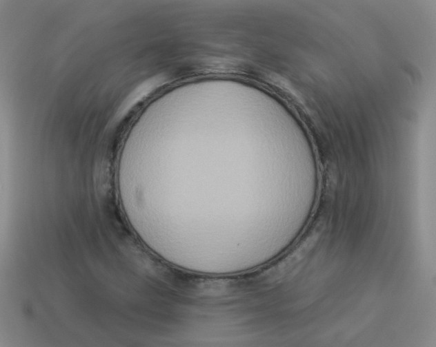 X0000113881211200910151305