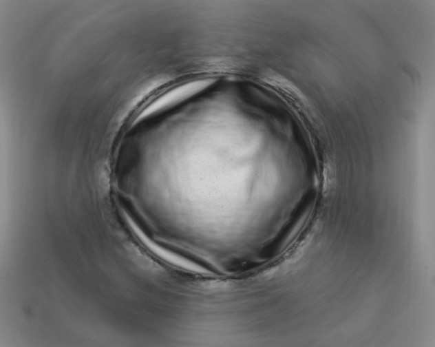 X0000113881212200910151305