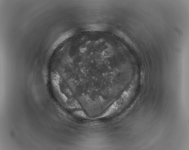 X0000113881213200910151305