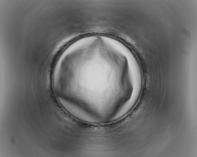 X0000113881214200910151305