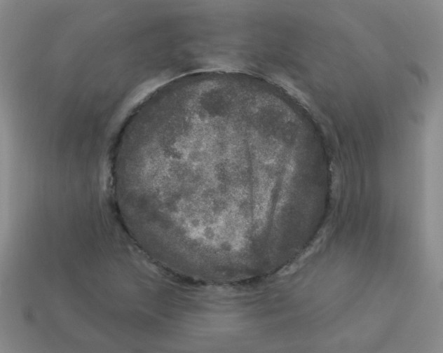 X0000113881215200910151305