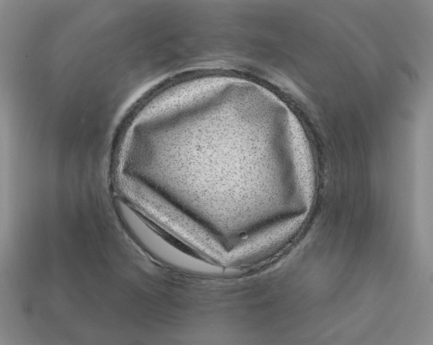 X0000113881216200910151305