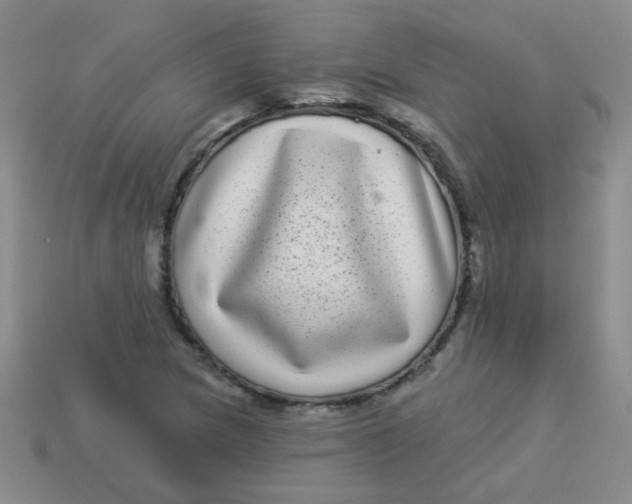 X0000113881217200910151306