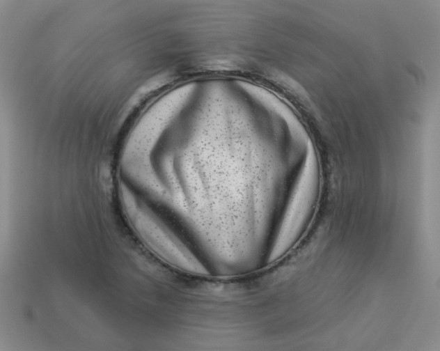 X0000113881218200910151306